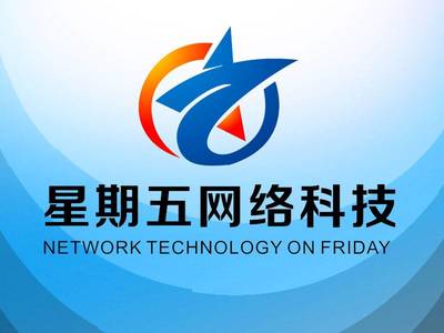 引領未來，共創數字新紀元——XX網絡科技開發公司簡介